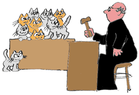 Jury of cats
